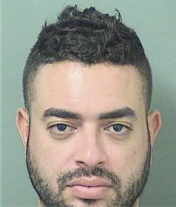 Amiel Settel, - Palm Beach County, FL 